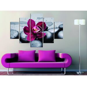 Viacdielny obraz Pink Flower 92 x 56 cm