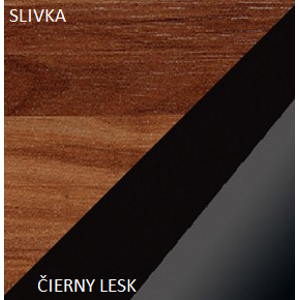 WIP Skriňa MAX 05 Farba: Slivka / čierny lesk